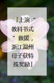 上演“教科书式”救援，浙江温州母子获特殊奖励