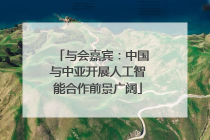 与会嘉宾：中国与中亚开展人工智能合作前景广阔