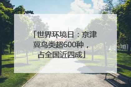 世界环境日：京津冀鸟类超600种，占全国近四成