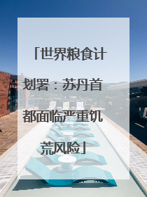 世界粮食计划署：苏丹首都面临严重饥荒风险