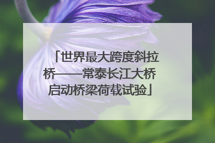 世界最大跨度斜拉桥——常泰长江大桥启动桥梁荷载试验