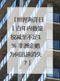 世界海洋日丨百年内数量锐减至不足1% 非洲企鹅为何迅速消失？