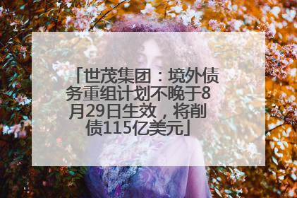 世茂集团：境外债务重组计划不晚于8月29日生效，将削债115亿美元