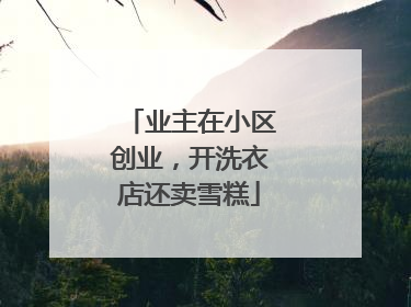 业主在小区创业，开洗衣店还卖雪糕