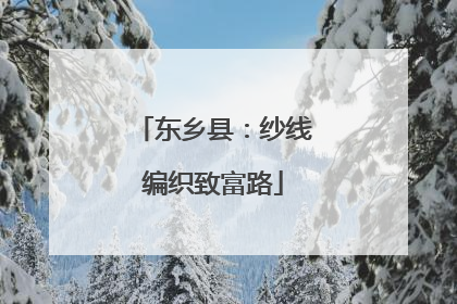 东乡县：纱线编织致富路