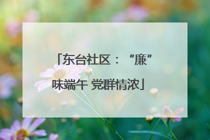 东台社区：“廉”味端午 党群情浓