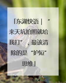 东湖快语｜“来天坑拍照就给我打”，最该清除的是“护短”思维
