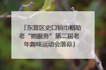 东营区史口镇巾帼助老“她服务”第二届老年趣味运动会落幕