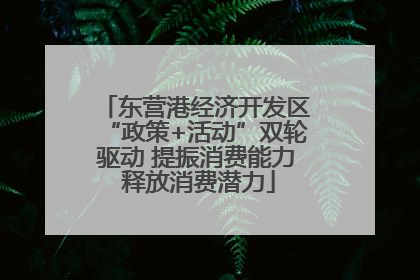 东营港经济开发区“政策+活动”双轮驱动 提振消费能力 释放消费潜力