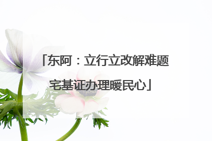 东阿：立行立改解难题 宅基证办理暖民心