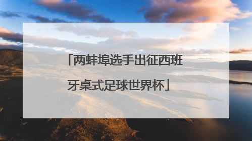 两蚌埠选手出征西班牙桌式足球世界杯