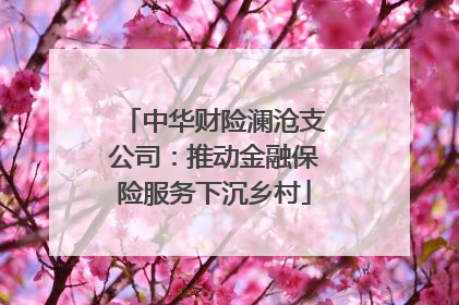 中华财险澜沧支公司：推动金融保险服务下沉乡村