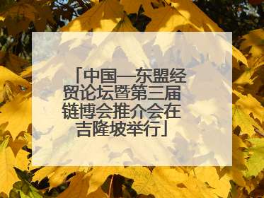 中国—东盟经贸论坛暨第三届链博会推介会在吉隆坡举行
