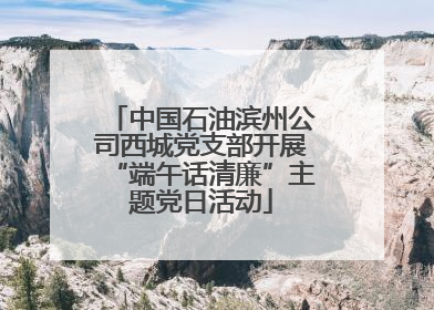 中国石油滨州公司西城党支部开展“端午话清廉”主题党日活动