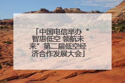 中国电信举办“智惠低空 领航未来”第二届低空经济合作发展大会