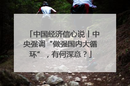 中国经济信心说丨中央强调“做强国内大循环”，有何深意？