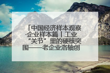 中国经济样本观察·企业样本篇丨工业“关节”里的硬核突围——老企业洛轴创新蝶变启示录