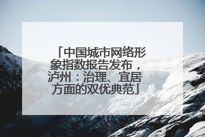中国城市网络形象指数报告发布，泸州：治理、宜居方面的双优典范