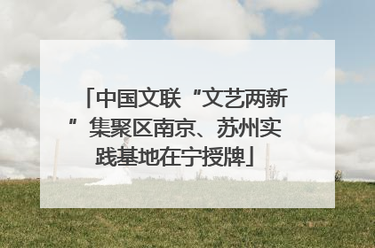 中国文联“文艺两新”集聚区南京、苏州实践基地在宁授牌