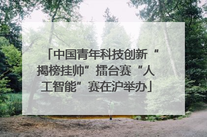 中国青年科技创新“揭榜挂帅”擂台赛“人工智能”赛在沪举办
