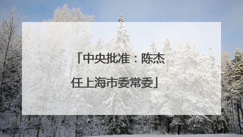 中央批准：陈杰任上海市委常委