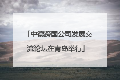 中德跨国公司发展交流论坛在青岛举行
