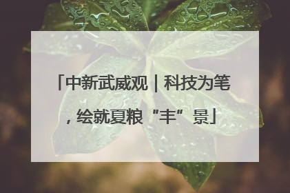 中新武威观｜科技为笔，绘就夏粮“丰”景