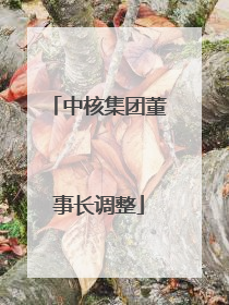 中核集团董事长调整