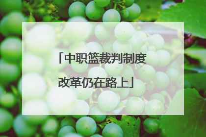 中职篮裁判制度改革仍在路上
