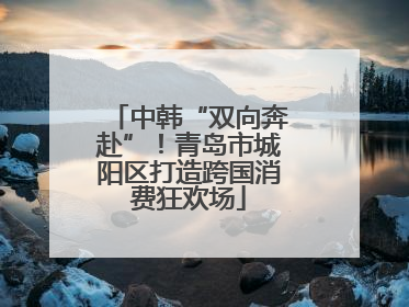 中韩“双向奔赴”！青岛市城阳区打造跨国消费狂欢场