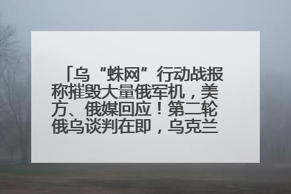 乌“蛛网”行动战报称摧毁大量俄军机，美方、俄媒回应！第二轮俄乌谈判在即，乌克兰提出三大诉求