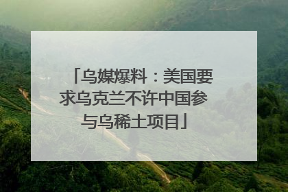 乌媒爆料：美国要求乌克兰不许中国参与乌稀土项目