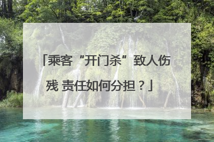 乘客“开门杀”致人伤残 责任如何分担？