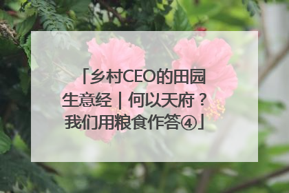 乡村CEO的田园生意经｜何以天府？我们用粮食作答④