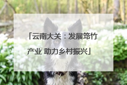 云南大关：发展筇竹产业 助力乡村振兴