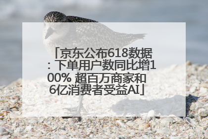 京东公布618数据：下单用户数同比增100% 超百万商家和6亿消费者受益AI