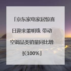 京东家电家居惊喜日迎来董明珠 带动空调品类销量同比增长100%