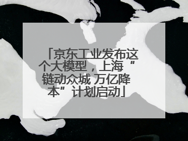 京东工业发布这个大模型，上海“链动众城 万亿降本”计划启动