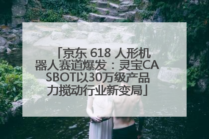 京东 618 人形机器人赛道爆发：灵宝CASBOT以30万级产品力搅动行业新变局