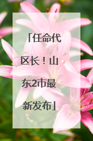 任命代区长！山东2市最新发布