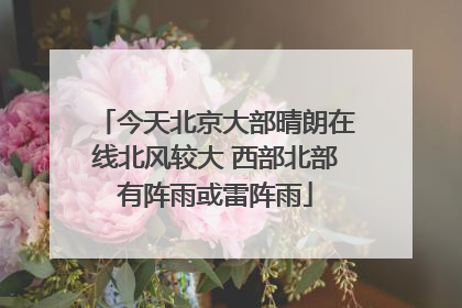 今天北京大部晴朗在线北风较大 西部北部有阵雨或雷阵雨
