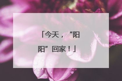 今天，“阳阳”回家！
