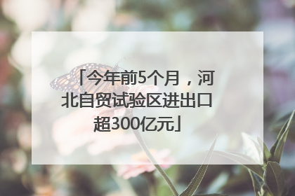 今年前5个月，河北自贸试验区进出口超300亿元