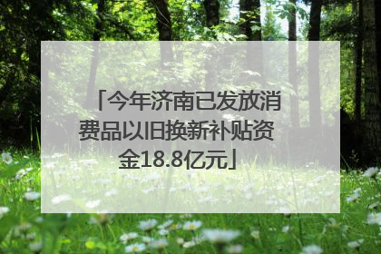 今年济南已发放消费品以旧换新补贴资金18.8亿元