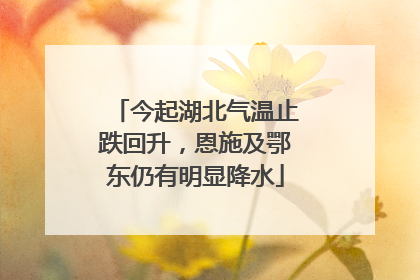 今起湖北气温止跌回升，恩施及鄂东仍有明显降水
