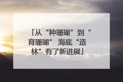从“种珊瑚”到“育珊瑚” 海底“造林”有了新进展