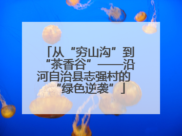 从“穷山沟”到“茶香谷”——沿河自治县志强村的“绿色逆袭”