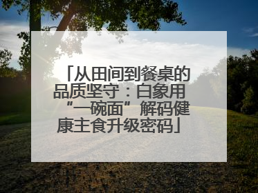 从田间到餐桌的品质坚守：白象用“一碗面”解码健康主食升级密码