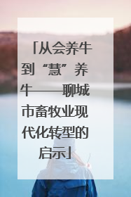 从会养牛到“慧”养牛——聊城市畜牧业现代化转型的启示