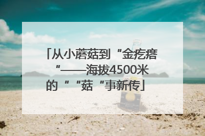 从小蘑菇到“金疙瘩“——海拔4500米的““菇“事新传